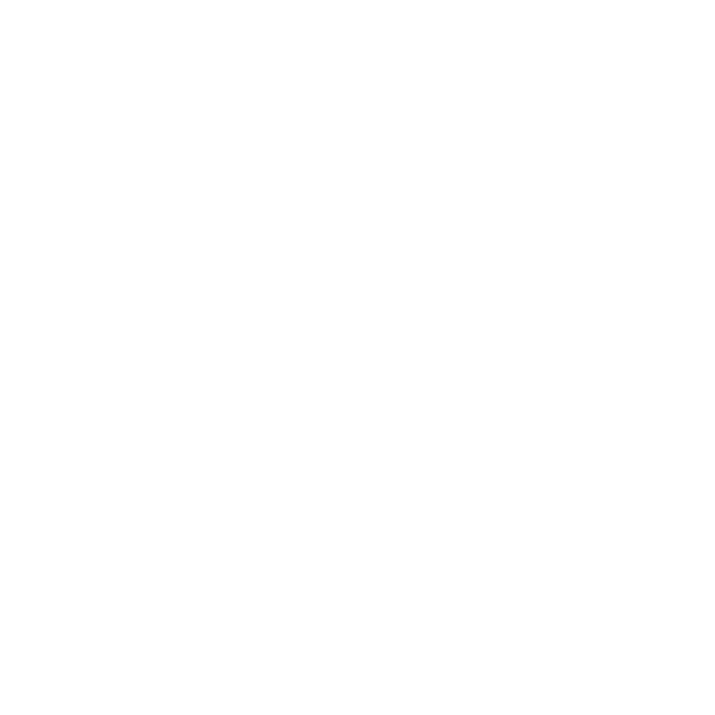 Batista Auto Sales Inc